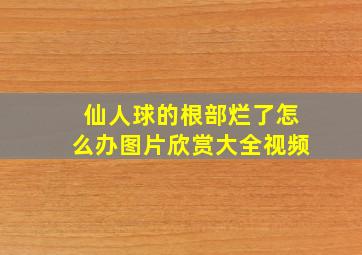 仙人球的根部烂了怎么办图片欣赏大全视频