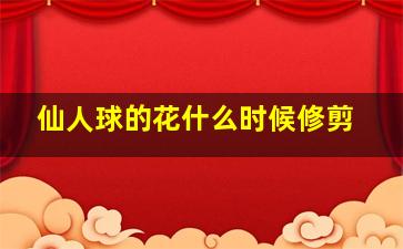 仙人球的花什么时候修剪