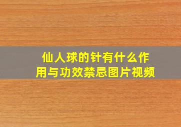 仙人球的针有什么作用与功效禁忌图片视频