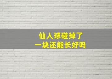 仙人球碰掉了一块还能长好吗