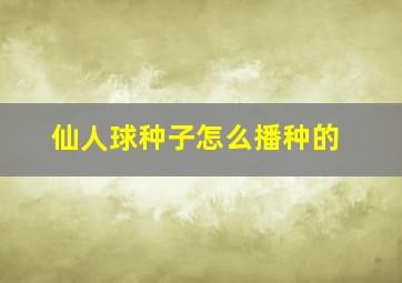 仙人球种子怎么播种的