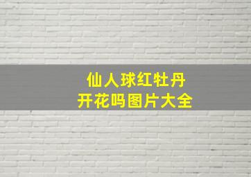 仙人球红牡丹开花吗图片大全