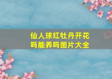 仙人球红牡丹开花吗能养吗图片大全