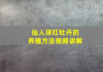 仙人球红牡丹的养殖方法视频讲解