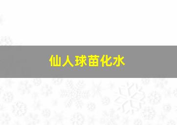 仙人球苗化水