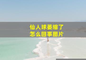 仙人球萎缩了怎么回事图片