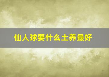 仙人球要什么土养最好