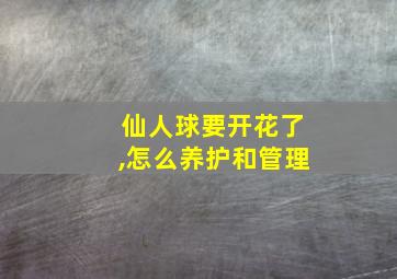 仙人球要开花了,怎么养护和管理