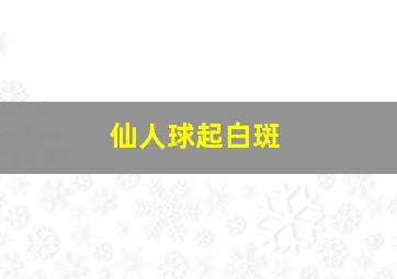 仙人球起白斑