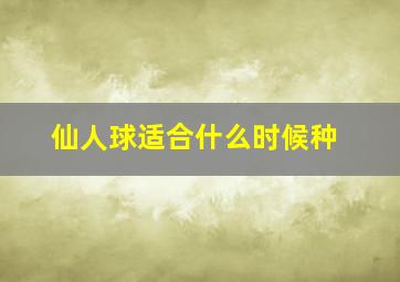 仙人球适合什么时候种