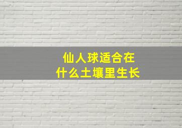 仙人球适合在什么土壤里生长