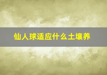 仙人球适应什么土壤养