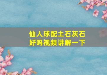 仙人球配土石灰石好吗视频讲解一下