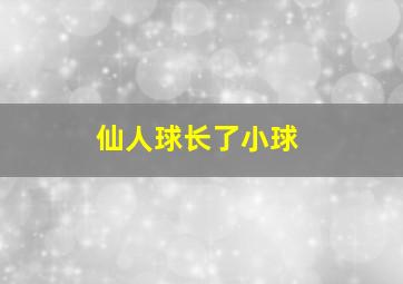 仙人球长了小球