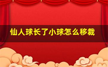 仙人球长了小球怎么移裁