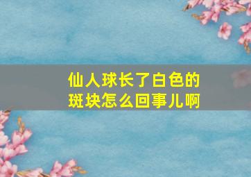 仙人球长了白色的斑块怎么回事儿啊