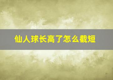 仙人球长高了怎么截短