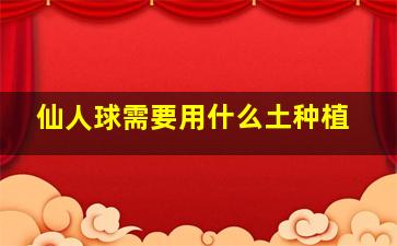 仙人球需要用什么土种植