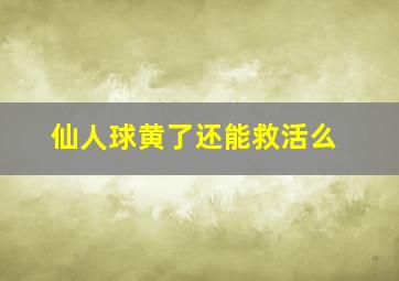 仙人球黄了还能救活么