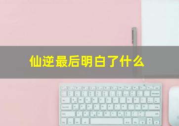 仙逆最后明白了什么