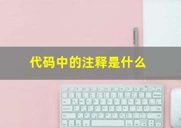 代码中的注释是什么