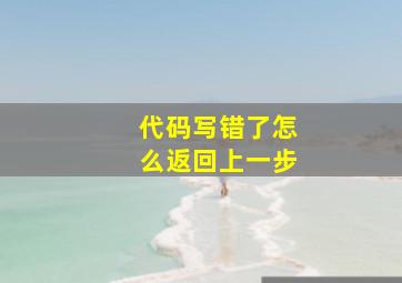 代码写错了怎么返回上一步