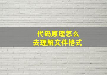 代码原理怎么去理解文件格式