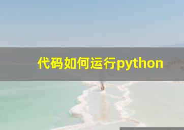 代码如何运行python