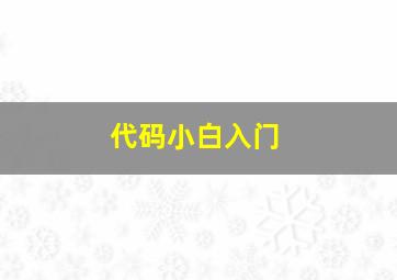 代码小白入门