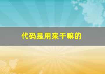 代码是用来干嘛的