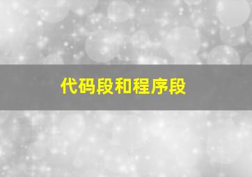 代码段和程序段