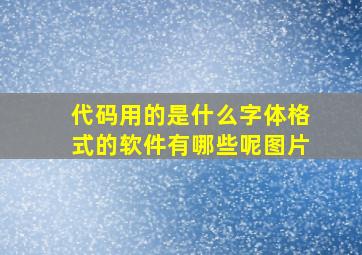 代码用的是什么字体格式的软件有哪些呢图片