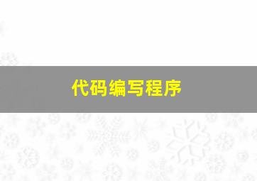 代码编写程序