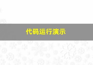 代码运行演示