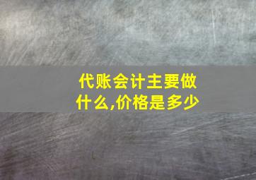 代账会计主要做什么,价格是多少