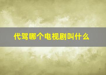 代驾哪个电视剧叫什么