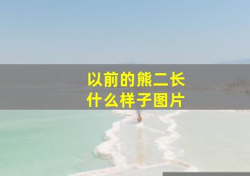 以前的熊二长什么样子图片