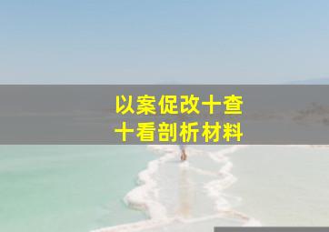 以案促改十查十看剖析材料