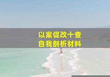 以案促改十查自我剖析材料