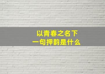 以青春之名下一句押韵是什么