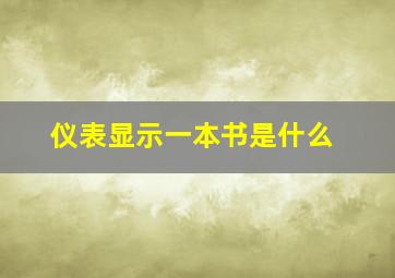 仪表显示一本书是什么