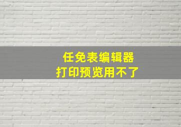 任免表编辑器打印预览用不了