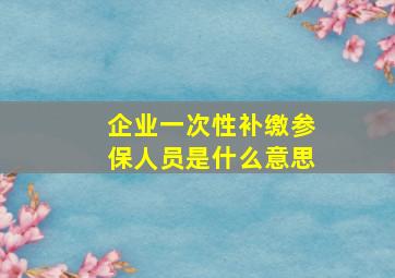 企业一次性补缴参保人员是什么意思