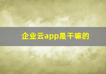 企业云app是干嘛的