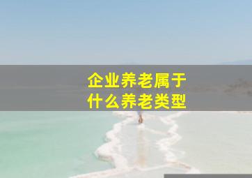 企业养老属于什么养老类型