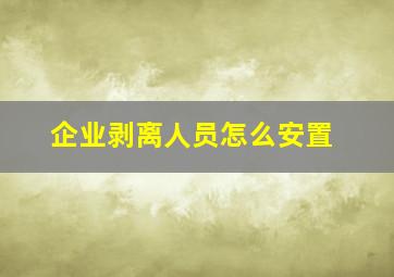 企业剥离人员怎么安置