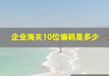 企业海关10位编码是多少