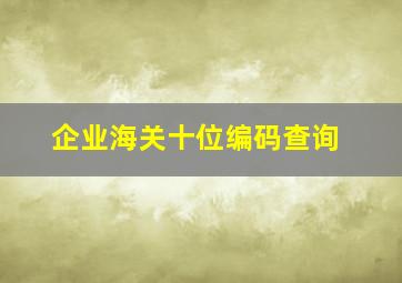 企业海关十位编码查询