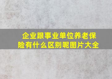 企业跟事业单位养老保险有什么区别呢图片大全