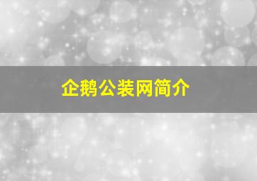 企鹅公装网简介